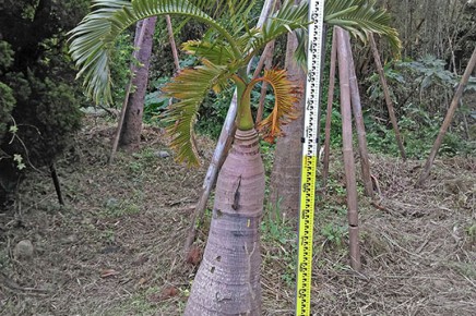 A012